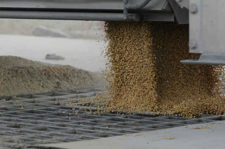 Lots of farmers along the Mississippi are finding themselves with excess farm output as prices plummet -- including soybeans