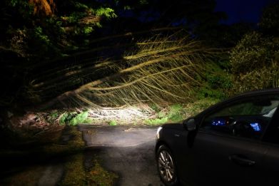 Ripped-up trees caused electricity blackouts and at least one death in France
