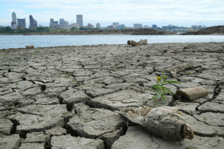 Drought hit parts of the US and Mexico in October