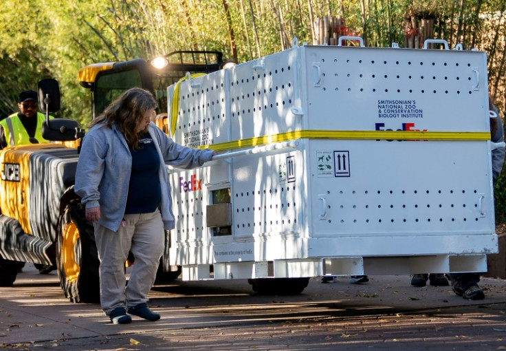 A crate carrying panda Mei Xiang is carried out of the Smithsonian National Zoo