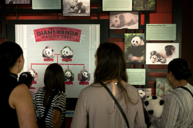An exhibit outlines the Smithsonian zoo's successful giant panda breeding program