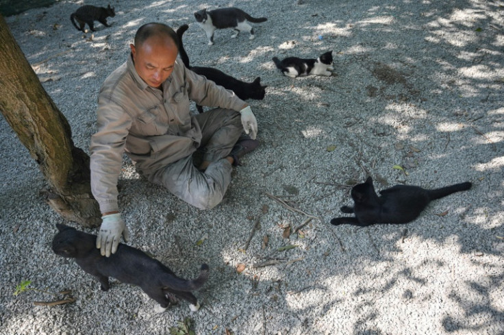 Gu Min, a former pharmaceutical industry professional, covers the shelter's expenses out of his own pocket