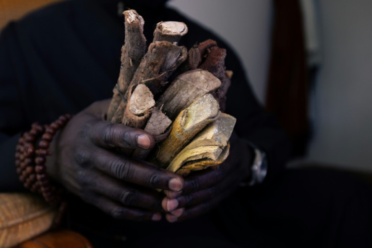 Branches from the "djoro" tree used by African faith healers to ward off the "evil eye"