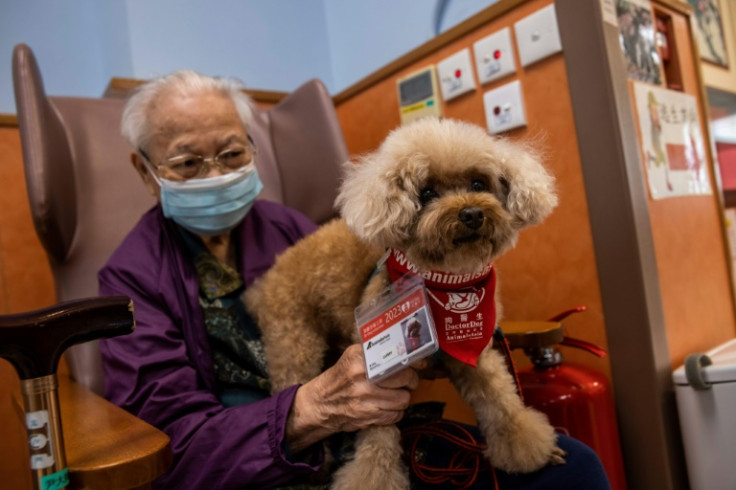 Hong Kong seniors are finding help socialising via a special group of caregivers -- therapy dogs
