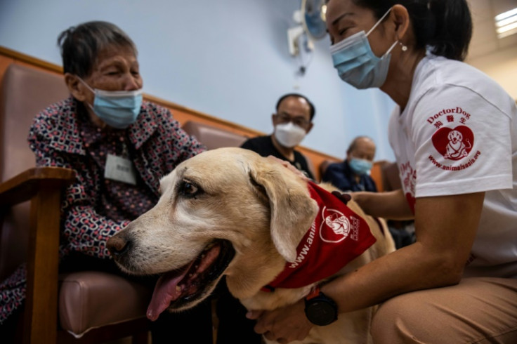 Rally the labrador therapy dog visits people at an elderly daycare centre in Hong Kong