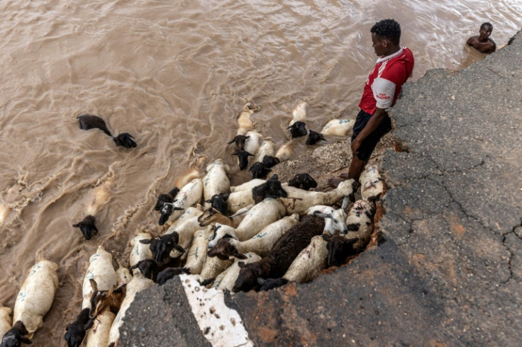 Herdsmen try to help their goats goats to cross a flooded area in Garissa