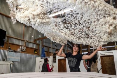 New Zealand sent 84 million tonnes of wool, worth US$232 million, overseas in the last financial year