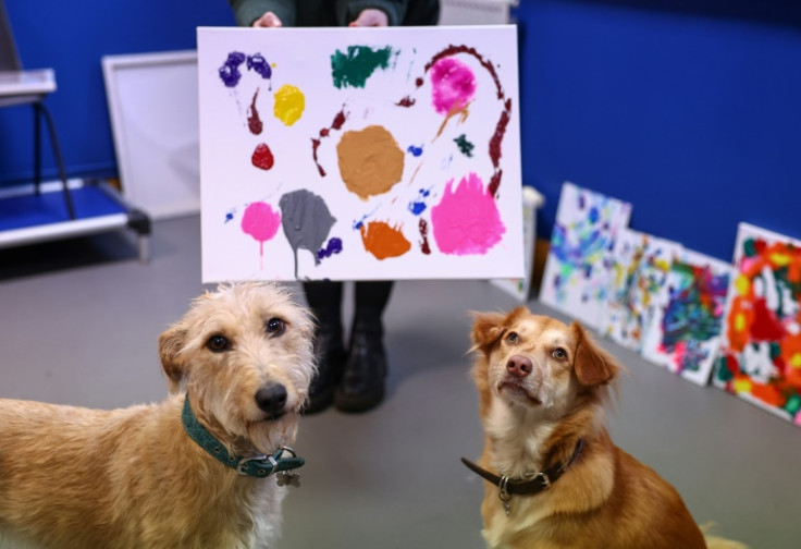 Rescue dogs Alba and Rosie have taken to painting to raise money for a UK animal charity