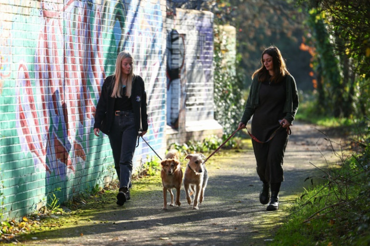 The UK has seen an unprecedented rise in abandoned animals since the pandemic