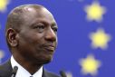 Kenya's President William Ruto  warned in an address to the European Parliament last week that Africa was 'at the forefront of environmental vulnerability'.