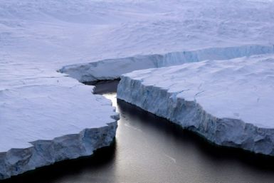A chunk of Antarctic ice the size of France and Germany combined has disappeared this year