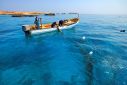 Reef Check Oman aims to build a full database of the country's coral reefs