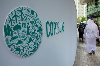Nations are divided over where to handle climate-related trade disputes, a matter never before discussed at COP gatherings