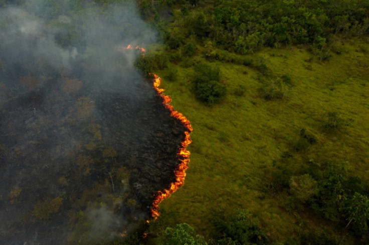 Recent fires in the Amazon rainforest suggest it could be closing to tipping than researchers previously thought