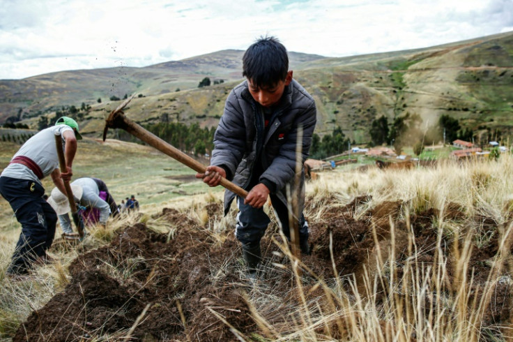 People born in Peru after 2000 will experience nine El Nino events over their lifetime -- three times as many as their parents.