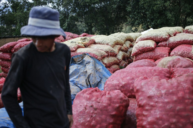Between January and September, Peru's agricultural production plummeted by 3.6 percent compared to the same period in 2022, according to official data
