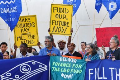Environmental activists at COP28 in Dubai