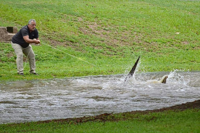Flash floods have swamped northeastern Australia, with raging waters severing roads and flushing crocodiles into towns