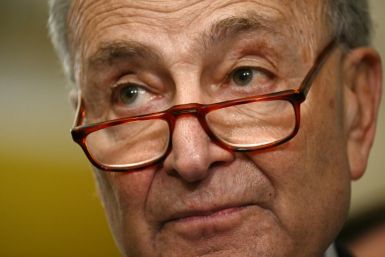 US Senate Majority Leader Chuck Schumer says Ukraine aid proposal must wait until early days of 2024