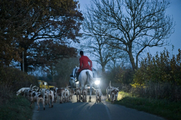 Trail hunting, where hounds follow a scent, has been banned in Scotland and England and Wales may follow