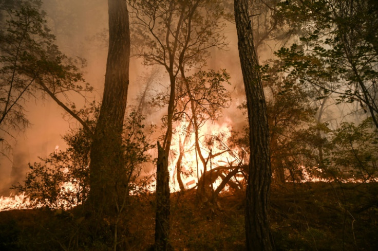 A wildfire raged in the Dadia-Lefkimi-Soufli Forest National Park, northern Greece, in September