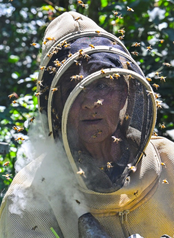 Beekeeper Maria Acevedo says 'without bees there are no humans'