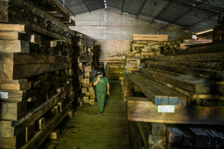 Some 1,000 cubic meters of illegally felled timber is seized in Colombia's Santander department in anti-trafficking operations every year