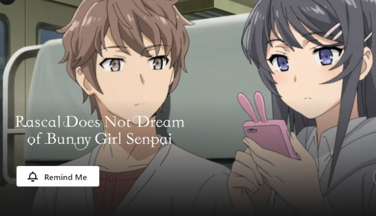 Rascal Does Not Dream of Bunny Gil Senpai