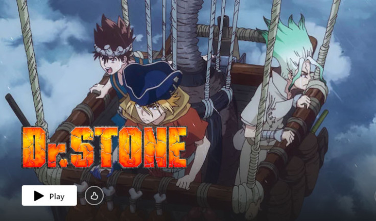 Dr. Stone