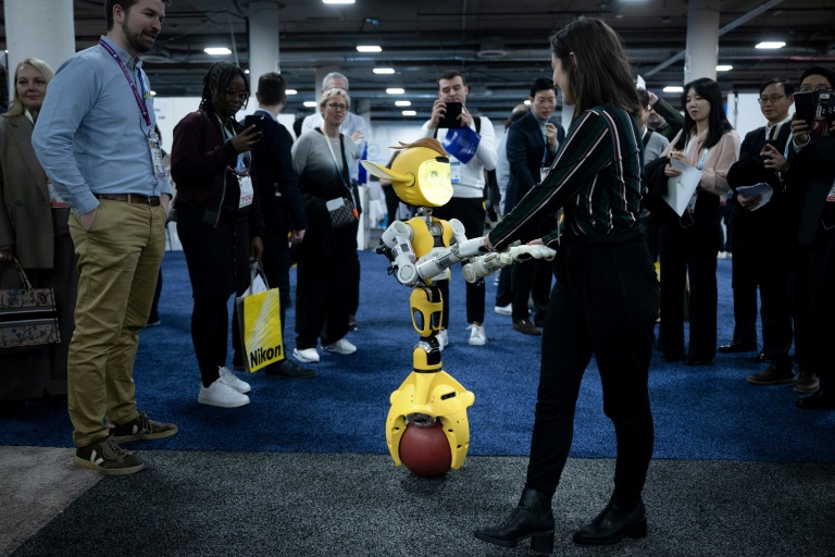 In Search of the Perfect Balance: Robots at CES Tech Show, Neither Too Human Nor Too Machine