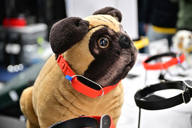 CES Pet Tech: Give Your Dog a Treat with an AI Collar