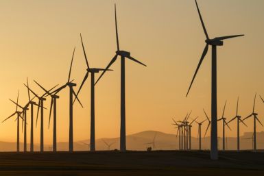 Globally, renewable electric power infrastructure increased 50% last year, according to the International Eneragy Agency