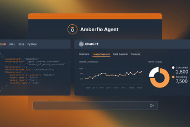 Amberflo Agent