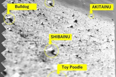 This handout photo released by the Japan space agency JAXA and credited to JAXA, University of Aizu and Ritsumeikan University shows lunar rocks captured by a spectroscopic camera on the Smart Lander for Investigating Moon (SLIM) module