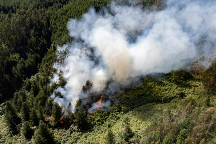 Colombia, one of the world's most biodiverse countries, has for months been suffering from record high temperatures and drought conditions