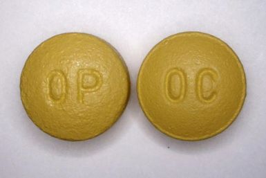 This handout photo from the  US Drug Enforcement Administration (DEA) shows 40 mg pills of OxyContin