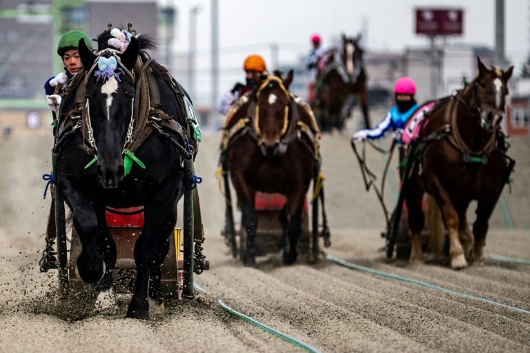 ‘Suspense’ Of Slowest Horse Race Wins New Fans In Japan