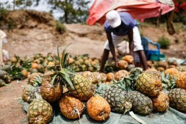 Pineapples at an informal market on the road in Kenya