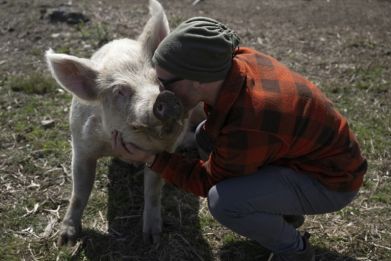 One man and his rescue pig in Uruguay