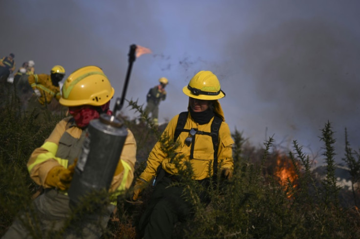 In the hills above the town of Paredes de Coura, women set fire to thorny patches of scrubland which create grazing areas for livestock