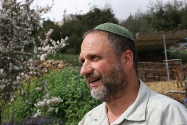 Noam Federman's settler son and son-in-law were sanctioned over violence against Palestinians in the Israeli-occupied West Bank