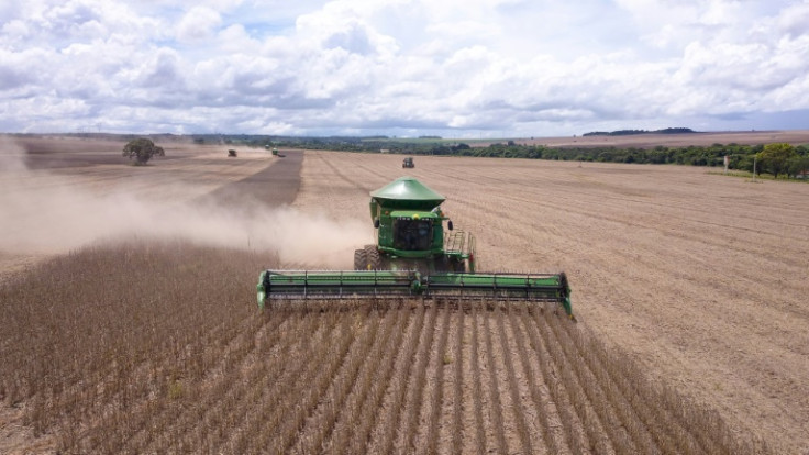 Workers harvest soybeans in Montividiu, Brazil