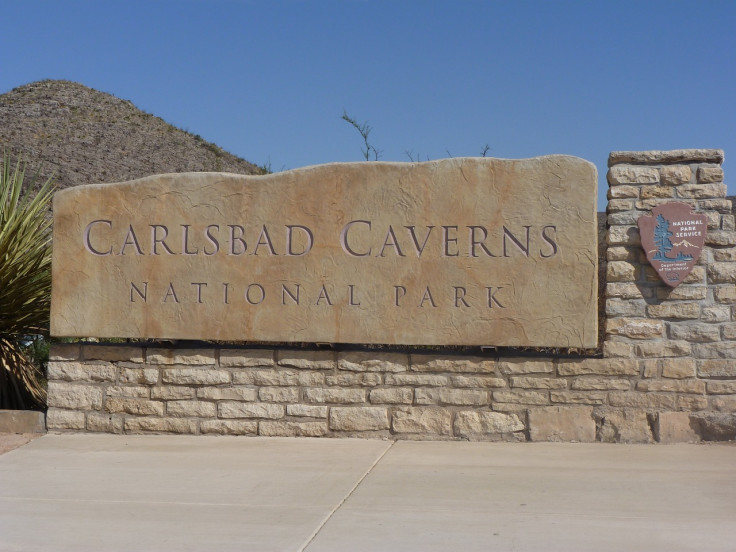 Carlsbad Caverns National Park 