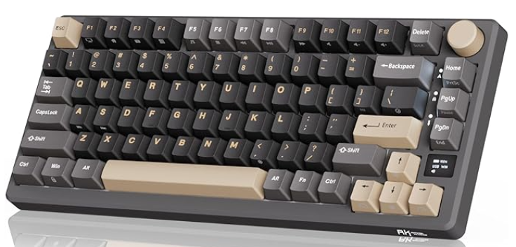 RK ROYAL KLUDGE Wireless Mechanical Keyboard