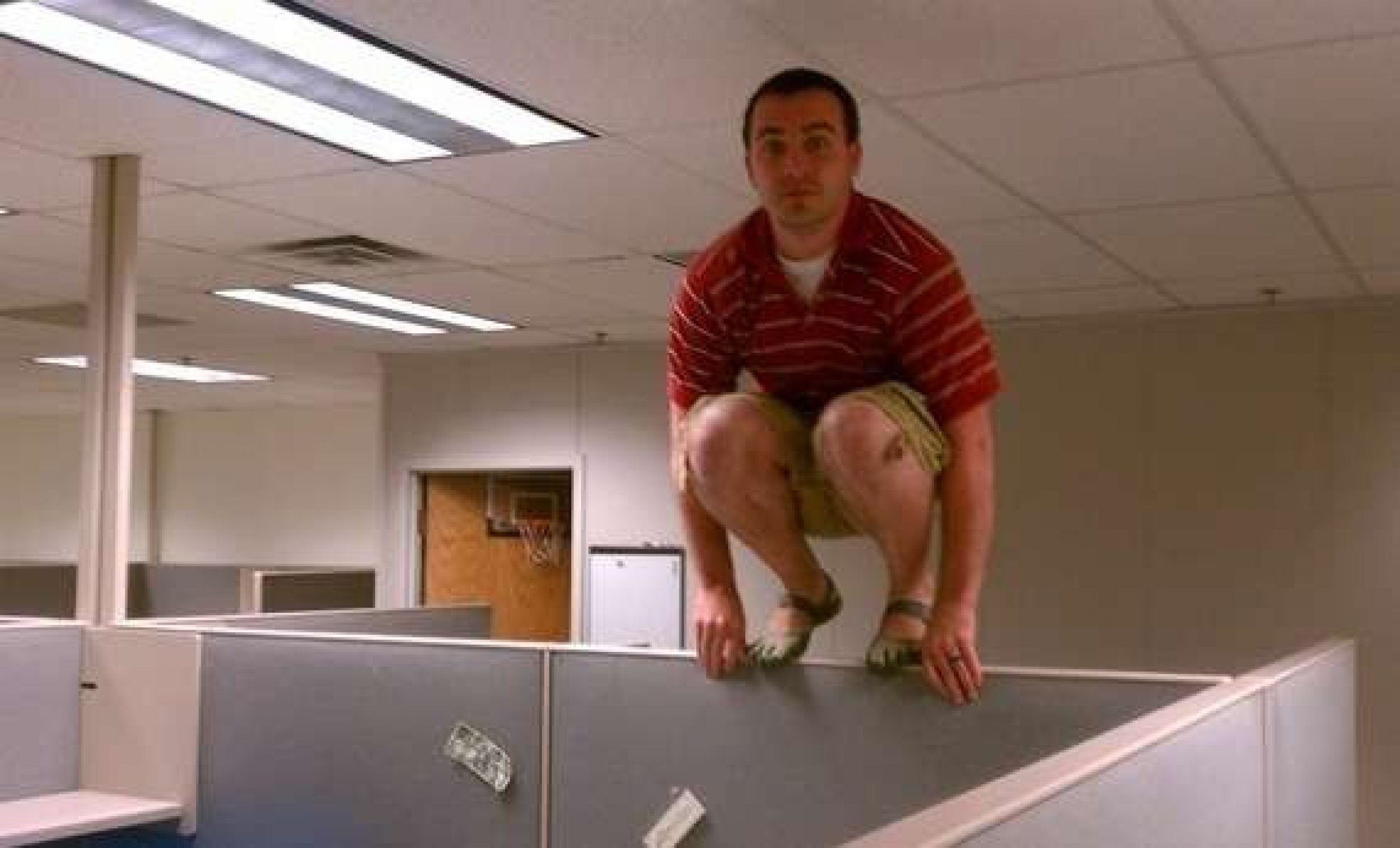 Planking is Yesterday, Owling is Trending 