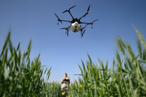 Sharmila Yadav, a remote pilot trained under the "Drone Sister" programme, operates a drone spraying liquid fertiliser over a farm in Pataudi, India
