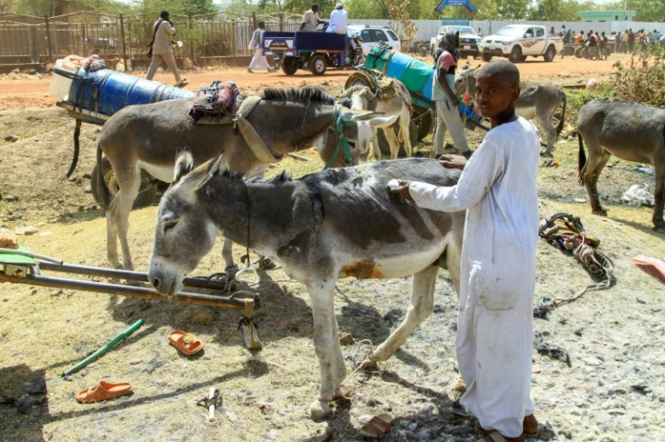 Traders and donkey farmers at a market in Sudan's Gedaref state