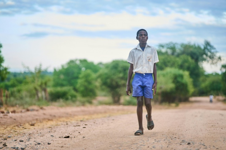 The long walk to school could be dangerous with wildlife roaming free