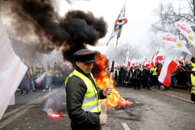 Polish farmers have staged regular protests against EU policies on climate measures and imports from outside the bloc