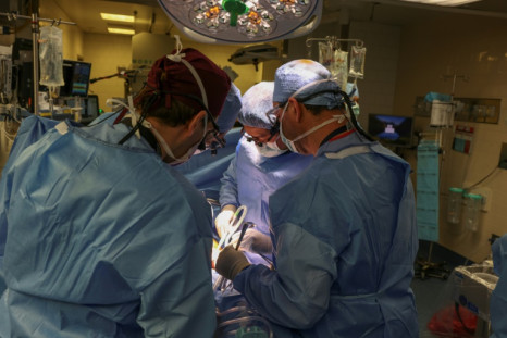 Surgeons at Massachusetts General Hospital performing the world's pig kidney transplant into a living human